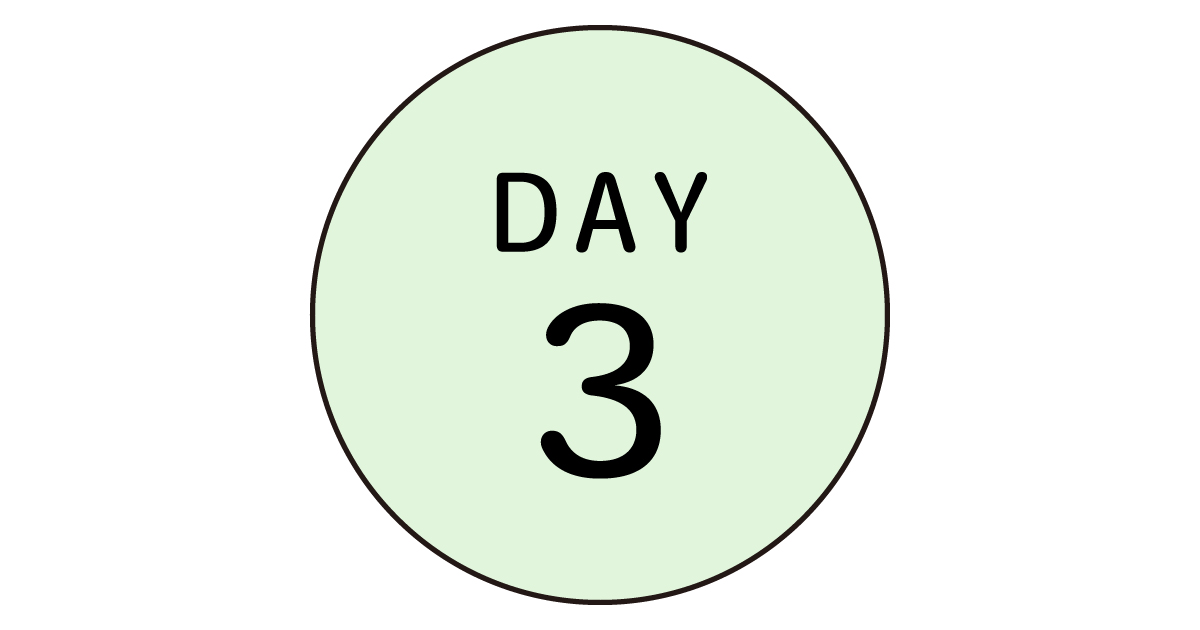 DAY3